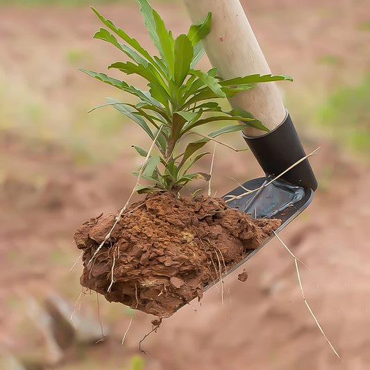 Small Hoe Farming Tools for Planting Vegetables and Flowers