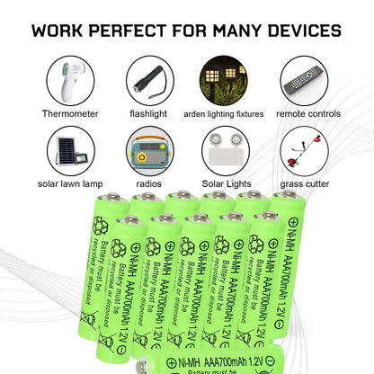 High Capacity AAA Rechargeable Batteries