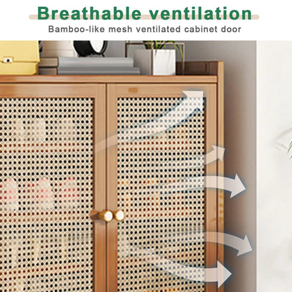 Shoe Storage Cabinet Rack with Doors